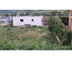 PARCELA EN LA BARRACA DE AGUAS VIVAS (CARCAIXENT)