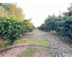 Chalet en suelo rústico con una parcela amplia, luz corriente y agua de pozo