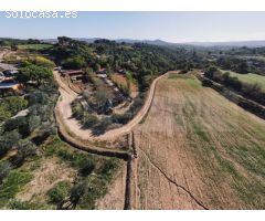 Finca de tres hectáreas con licencia de hípica y cría caballar a la venta en