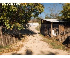 Finca de tres hectáreas con licencia de hípica y cría caballar a la venta en