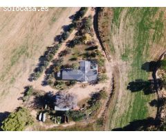 Finca de tres hectáreas con licencia de hípica y cría caballar a la venta en