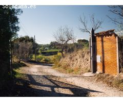 Finca de tres hectáreas con licencia de hípica y cría caballar a la venta en
