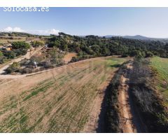 Finca de tres hectáreas con licencia de hípica y cría caballar a la venta en