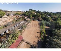 Finca de tres hectáreas con licencia de hípica y cría caballar a la venta en