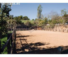 Finca de tres hectáreas con licencia de hípica y cría caballar a la venta en