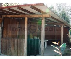 Finca de tres hectáreas con licencia de hípica y cría caballar a la venta en