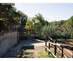 Finca de tres hectáreas con licencia de hípica y cría caballar a la venta en