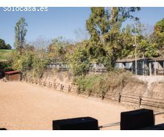 Finca de tres hectáreas con licencia de hípica y cría caballar a la venta en