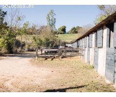 Finca de tres hectáreas con licencia de hípica y cría caballar a la venta en