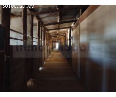 Finca de tres hectáreas con licencia de hípica y cría caballar a la venta en
