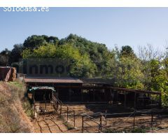 Finca de tres hectáreas con licencia de hípica y cría caballar a la venta en