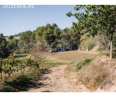 Finca de tres hectáreas con licencia de hípica y cría caballar a la venta en