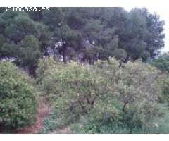 Espectacular chalet a la venta en Montserrat!