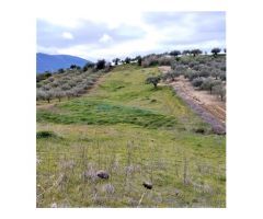 SE VENDE ESTUPENDA PARCELA RUSTICA