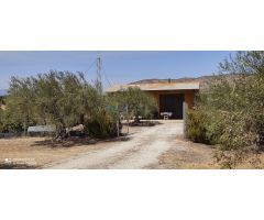 SE VENDE FINCA RUSTICA CON ALMACEN EN ALHAURIN EL GRANDE