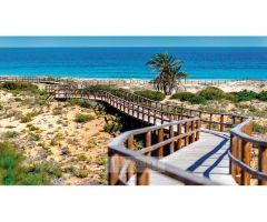 Apartamentos y dúplex en Alenda Golf.