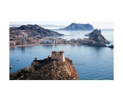 BAJO COMERCIAL EN ÁGUILAS
