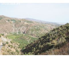 Parcela rústica con vistas a la montaña y ciudad
