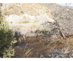 Parcela rústica con vistas a la montaña y ciudad