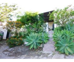 Amplio Cortijo con encanto sobre una parcela de 16.590 m2 en Canillas de