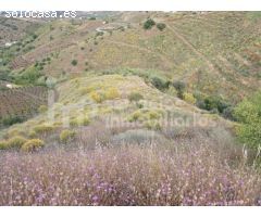 Parcela rústicas con casa en ruinas de 45 m2 con buenas vistas