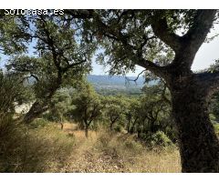 OPORTUNIDAD INVERSIÓN: LOTE DE PARCELAS EN LES TEULES