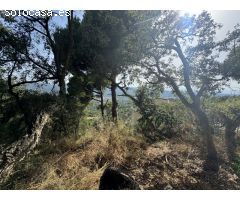 OPORTUNIDAD INVERSIÓN: LOTE DE PARCELAS EN LES TEULES