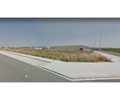 Suelo industrial en el Polígono Els Olivars, Catadau