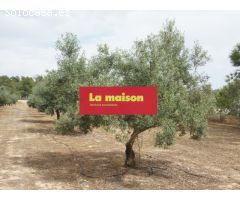 Chalet en Entrecruces.