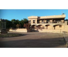 Finca de 625 hectáreas olivos regadío con almazara en Jaén