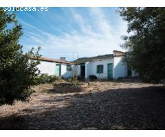 Finca de 640 hectáreas de caza mayor y menor en Puertollano