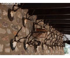 Finca de 640 hectáreas de caza mayor y menor en Puertollano