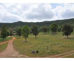 Finca de 640 hectáreas de caza mayor y menor en Puertollano