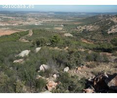 Finca de 640 hectáreas de caza mayor y menor en Puertollano