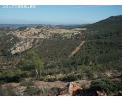 Finca de 640 hectáreas de caza mayor y menor en Puertollano