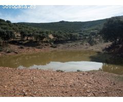 Finca de 640 hectáreas de caza mayor y menor en Puertollano