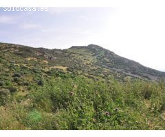 Finca de 640 hectáreas de caza mayor y menor en Puertollano