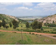 Finca de 640 hectáreas de caza mayor y menor en Puertollano