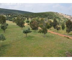 Finca de 640 hectáreas de caza mayor y menor en Puertollano
