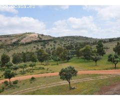 Finca de 640 hectáreas de caza mayor y menor en Puertollano