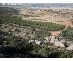 Finca de 640 hectáreas de caza mayor y menor en Puertollano