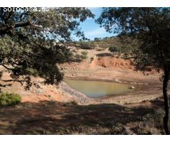 Finca de 640 hectáreas de caza mayor y menor en Puertollano
