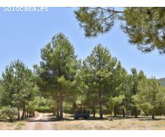 Finca de 148 hectáreas almendros, ecológico, regadío, caserío en la provincia de