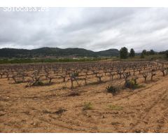 Finca de 148 hectáreas almendros, ecológico, regadío, caserío en la provincia de