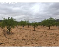 Finca de 148 hectáreas almendros, ecológico, regadío, caserío en la provincia de