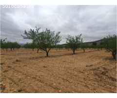 Finca de 148 hectáreas almendros, ecológico, regadío, caserío en la provincia de