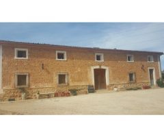 Finca de 40 hectáreas caserío, viñedos y olivar en Comunidad Valenciana