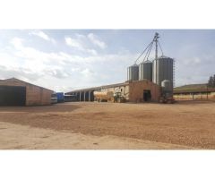 Finca de 1200 hectáreas agrícola y ganadera en Jaén