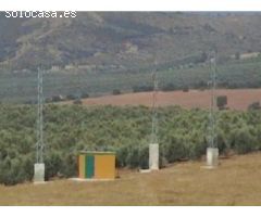 Finca de 1718 hectáreas de regadío, tradicional, intensivo y súper intensivo en