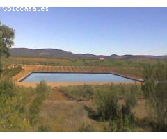 Finca de 1718 hectáreas de regadío, tradicional, intensivo y súper intensivo en